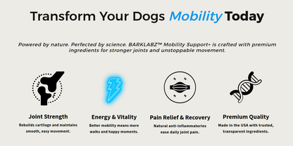 BarkLabz™ Mobility Support+ Chews
